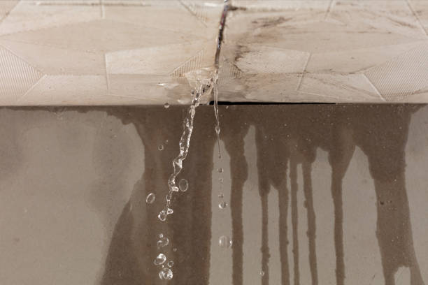 Professional Sewage Cleanup technician working in Holland, MN